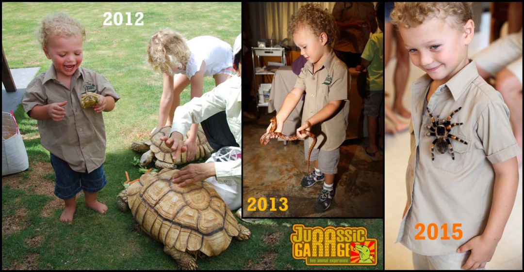 little-steve-irwin_combined